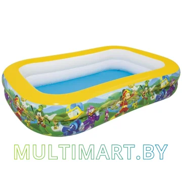 Надувной бассейн Bestway Family Pool 91008 (262x175)